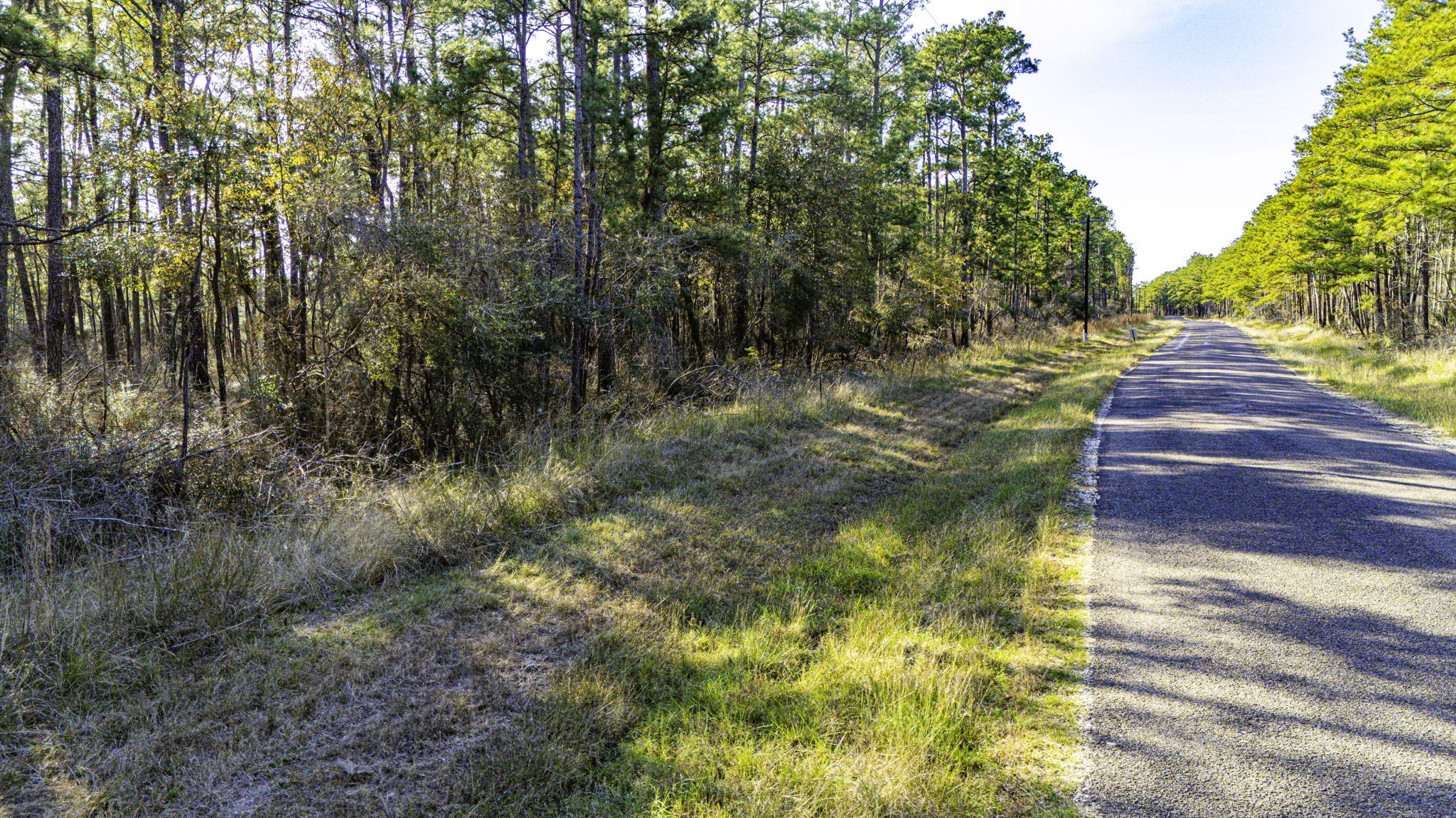 39 Sportsman Retreat Road Onalaska, TX 77360 - Photo 10 of 11 a view of yard