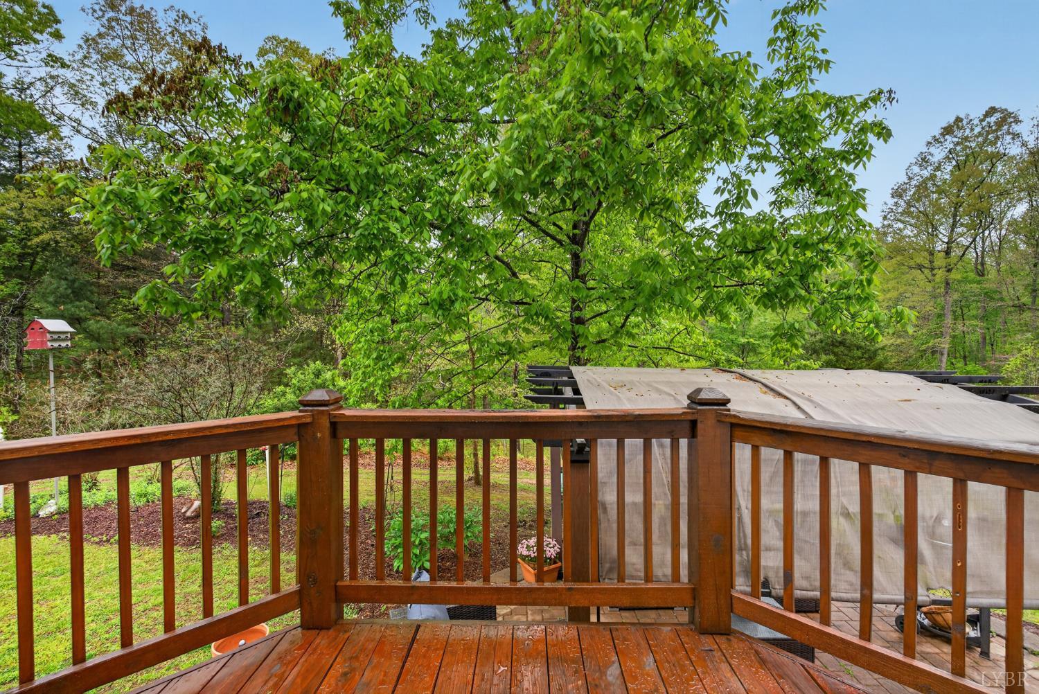 189 Pera Road Monroe, VA 24574 - Photo 23 of 59