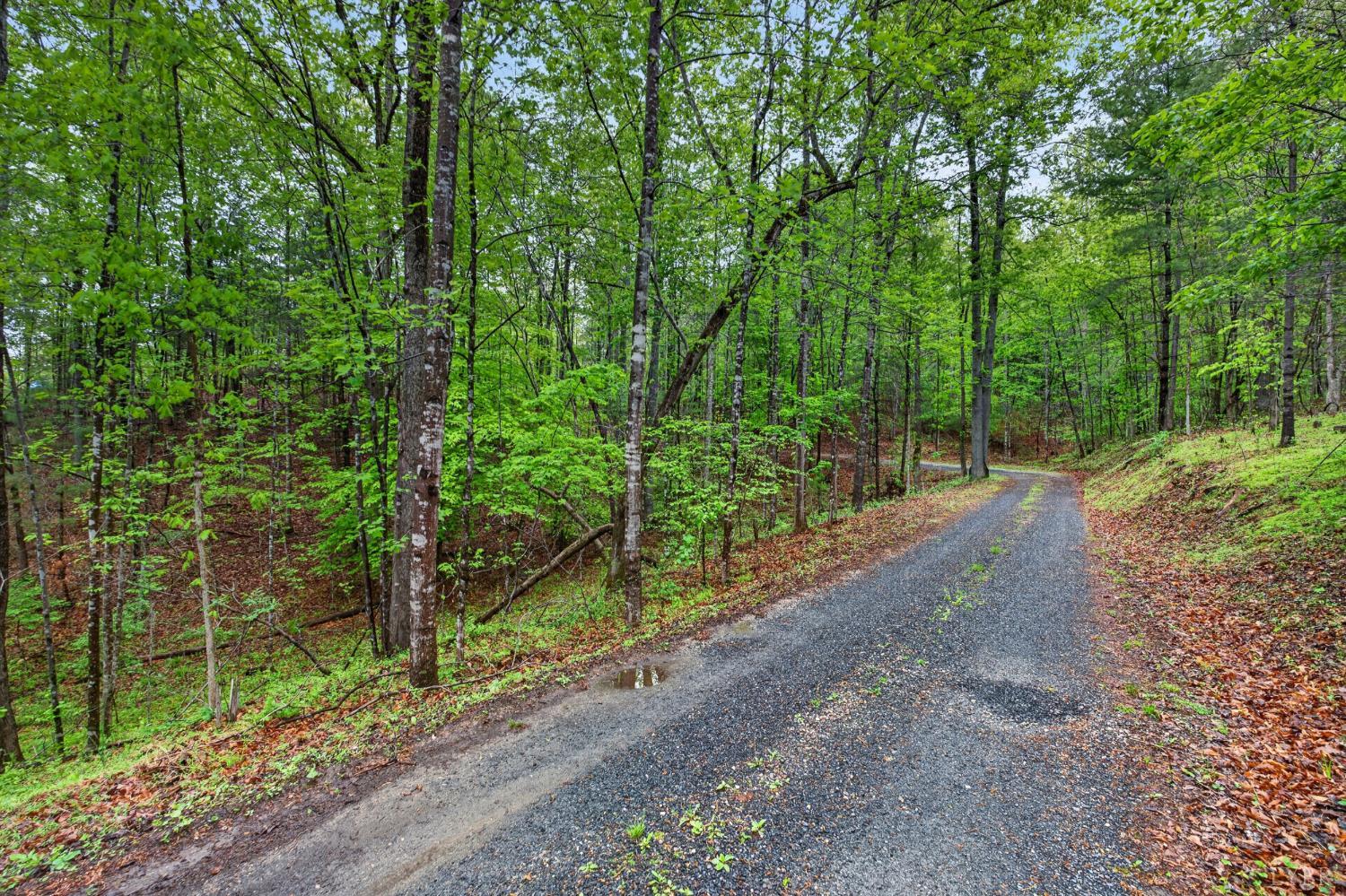189 Pera Road Monroe, VA 24574 - Photo 32 of 59