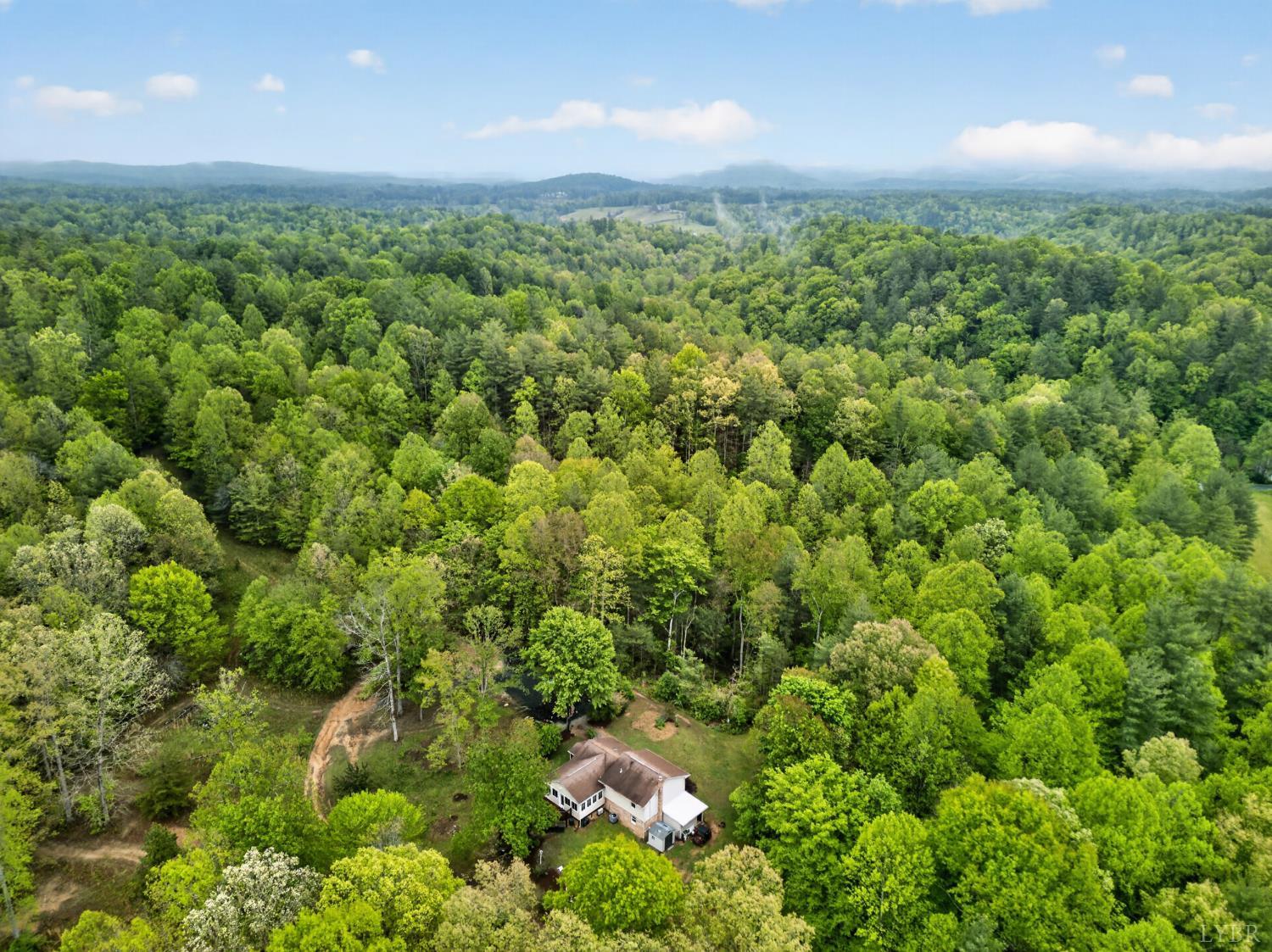 189 Pera Road Monroe, VA 24574 - Photo 37 of 59