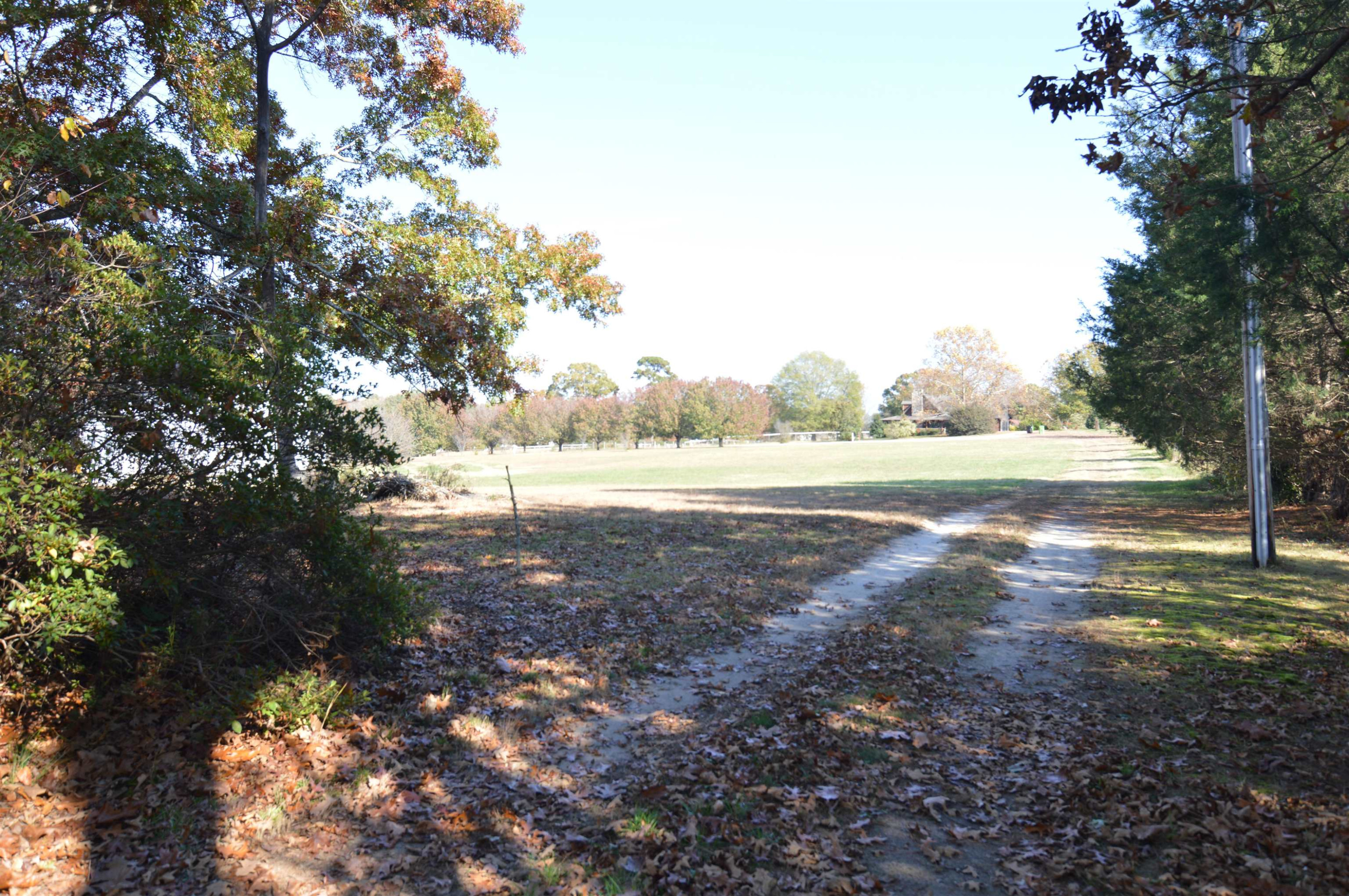 6828 Ridge Spring Road Zebulon, NC 27597 - Photo 3 of 6 Photo 3