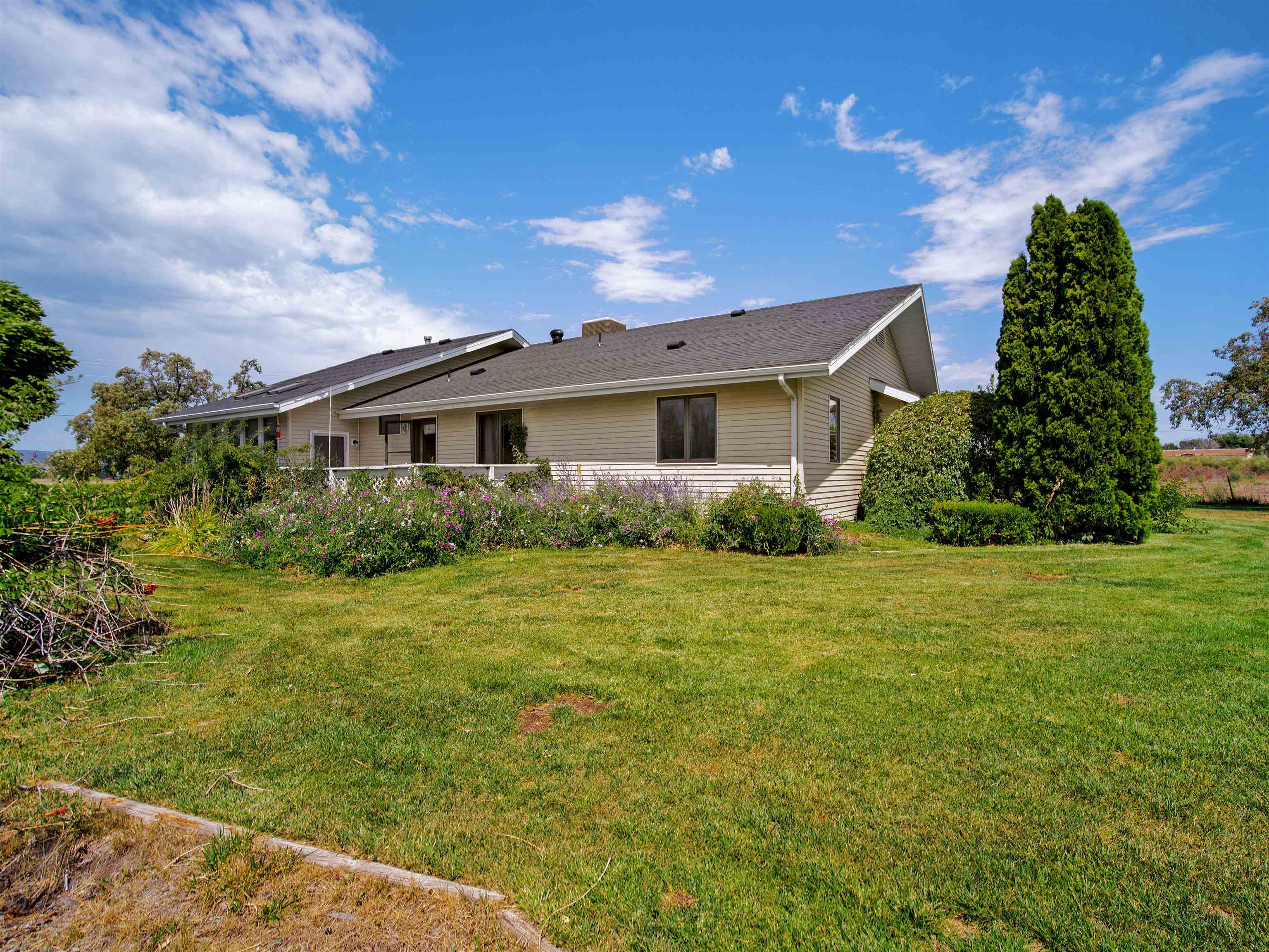948 20 Road Fruita, CO 81521 - Photo 12 of 38 a front view of house with yard and green space