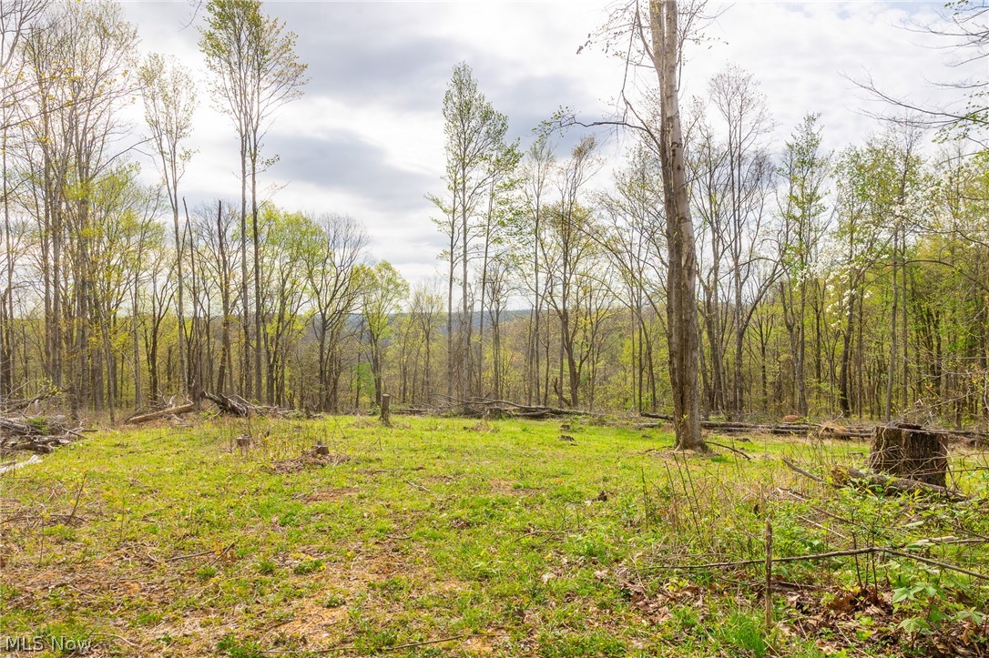 2115 Goss Fork Road, Unit 2 Whipple, OH 45788 - Photo 4 of 23