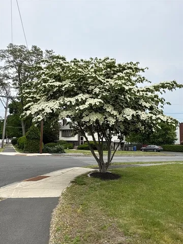 $819,900 | 1 Mansfield Drive, Wakefield, MA 01880