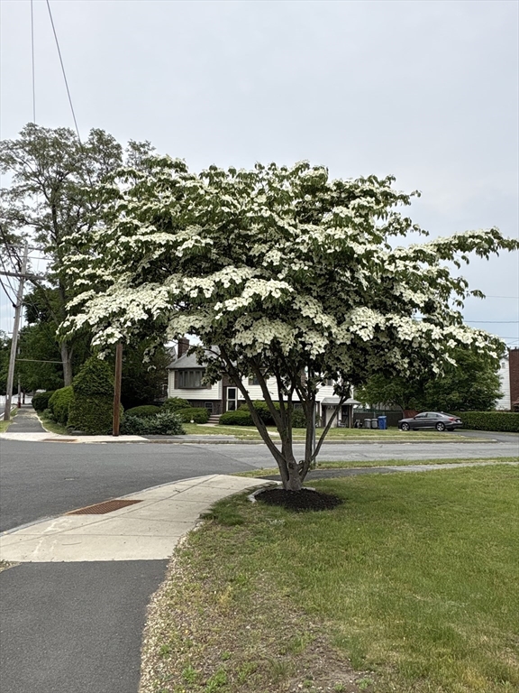 1 Mansfield Drive Wakefield, MA 01880 - Photo 40 of 41 a view of a big yard