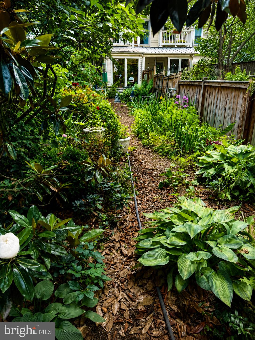 327 East 3rd Street Frederick, MD 21701 - Photo 25 of 26 Rear Yard with beautiful gardens & trees