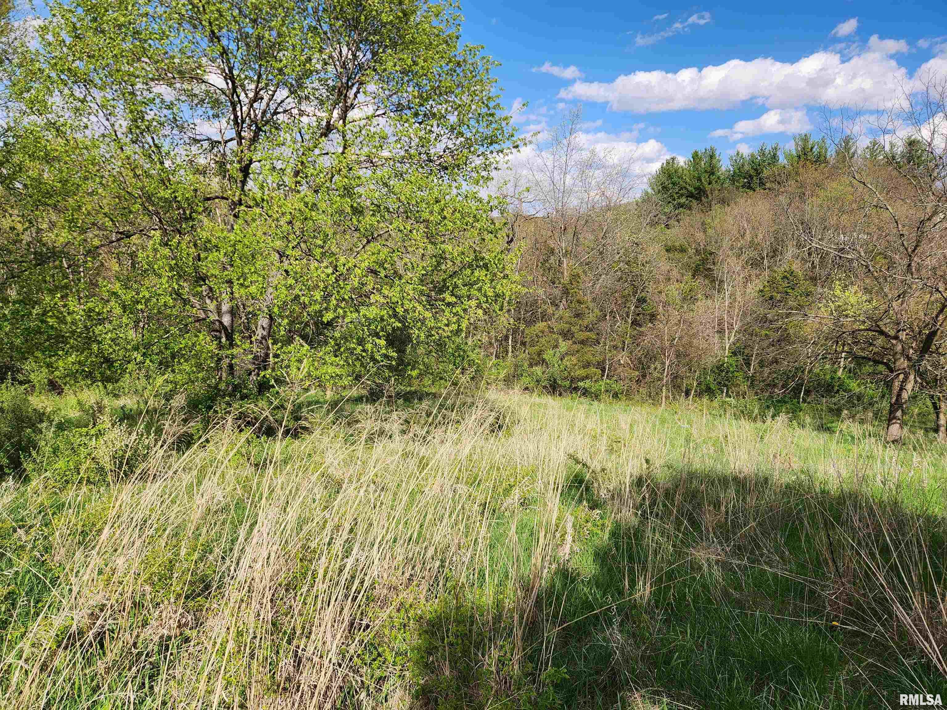 376 East Town Hall Road Metamora, IL 61548 - Photo 6 of 10