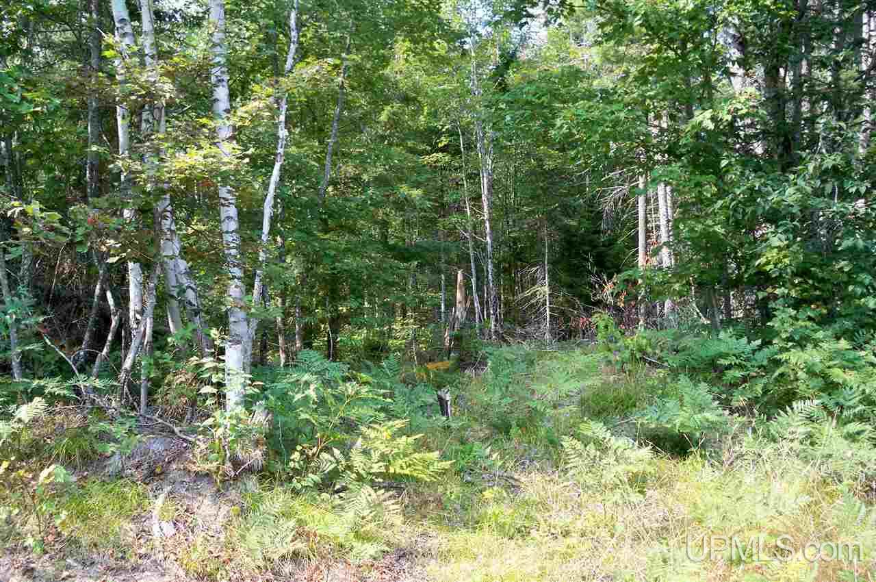 Tbd Cooks Lake Road Munising, MI 49862 - Photo 4 of 8