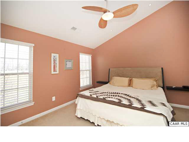 821 Rainier Road Charlottesville, VA 22903 - Photo 10 of 21 Master bedroom with vaulted ceiling