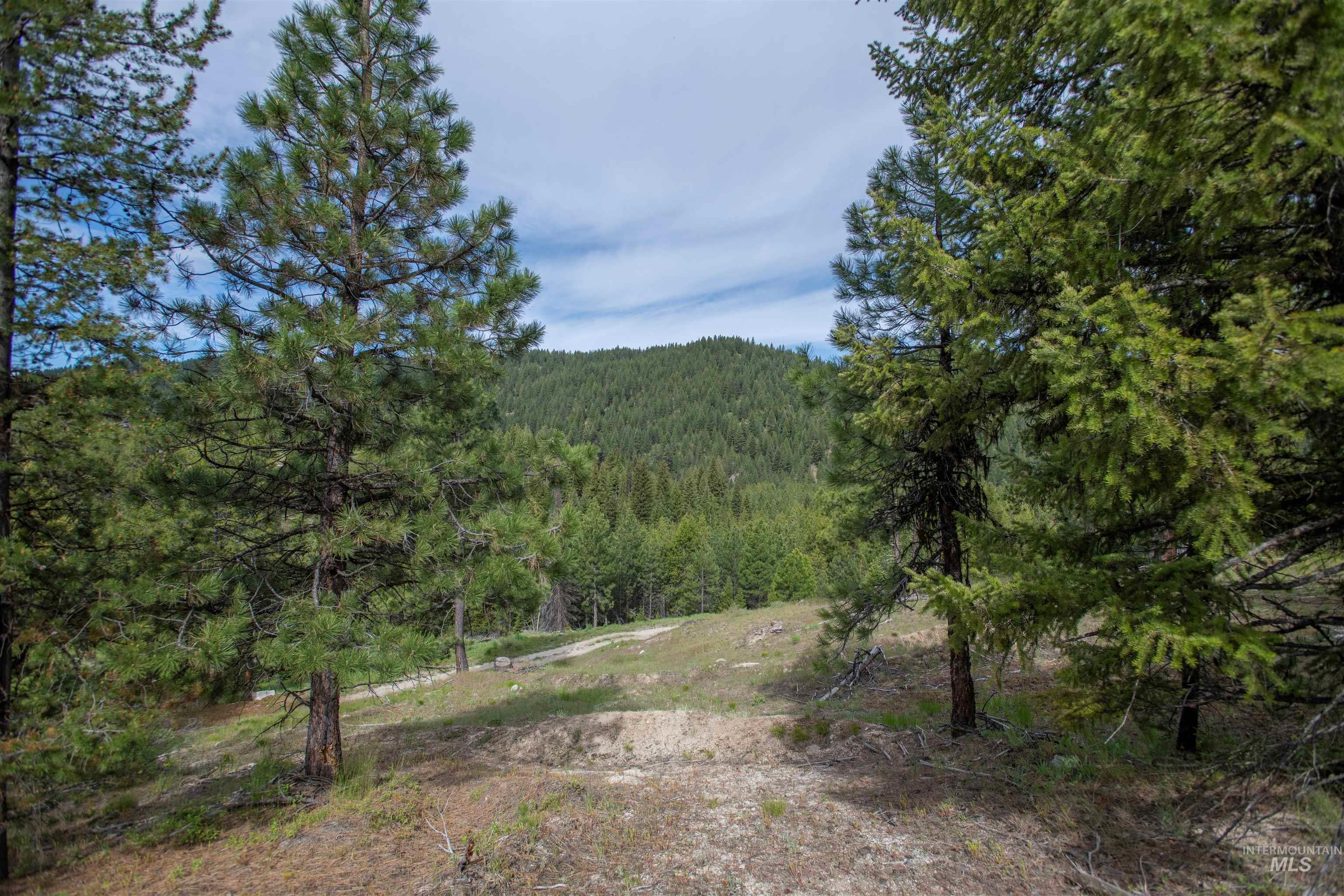 34 Clear Creek Road Cascade, ID 83611 - Photo 6 of 10