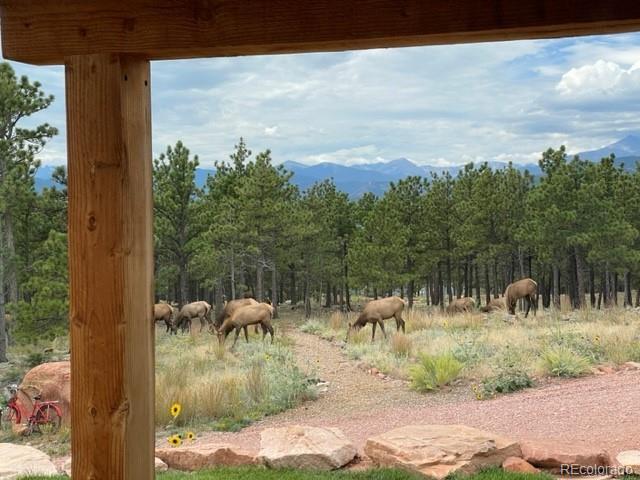 3535 Eagle Ridge Road Longmont, CO 80503 - Photo 5 of 40