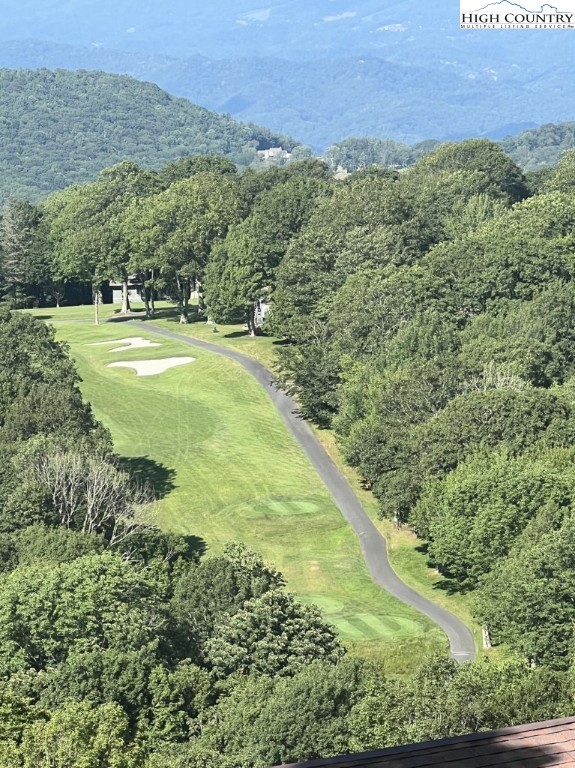 208 Pine Ridge Road Beech Mountain, NC 28604 - Photo 1 of 5 a view of a field with an ocean