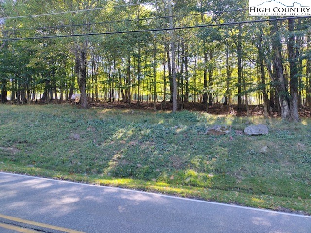 208 Pine Ridge Road Beech Mountain, NC 28604 - Photo 5 of 5 a view of a yard with large trees