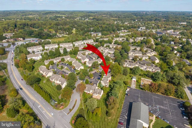 a view of a bunch of flowers