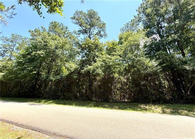 0 Hammerstone Road Franklinton, LA 70438 - Photo 1 of 2 Gallery Image 1