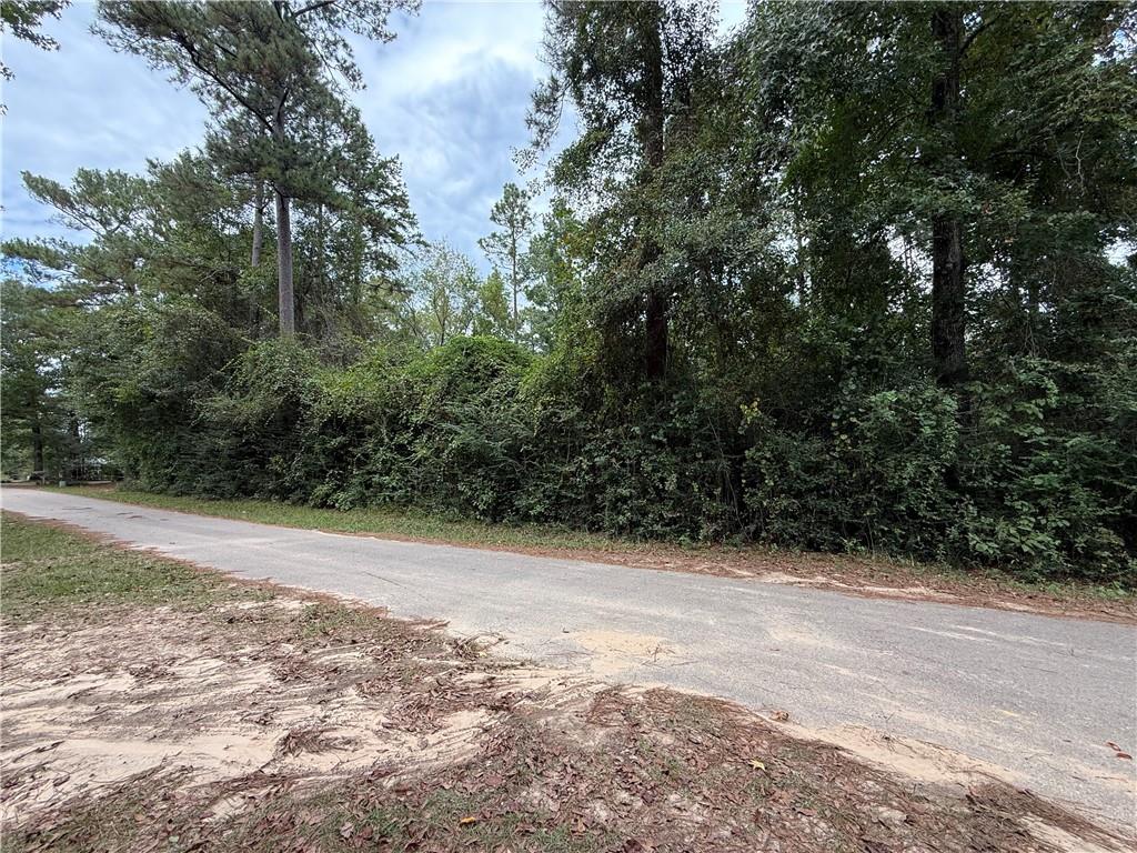 0 Hammerstone Road Franklinton, LA 70438 - Photo 2 of 2 Gallery Image 2