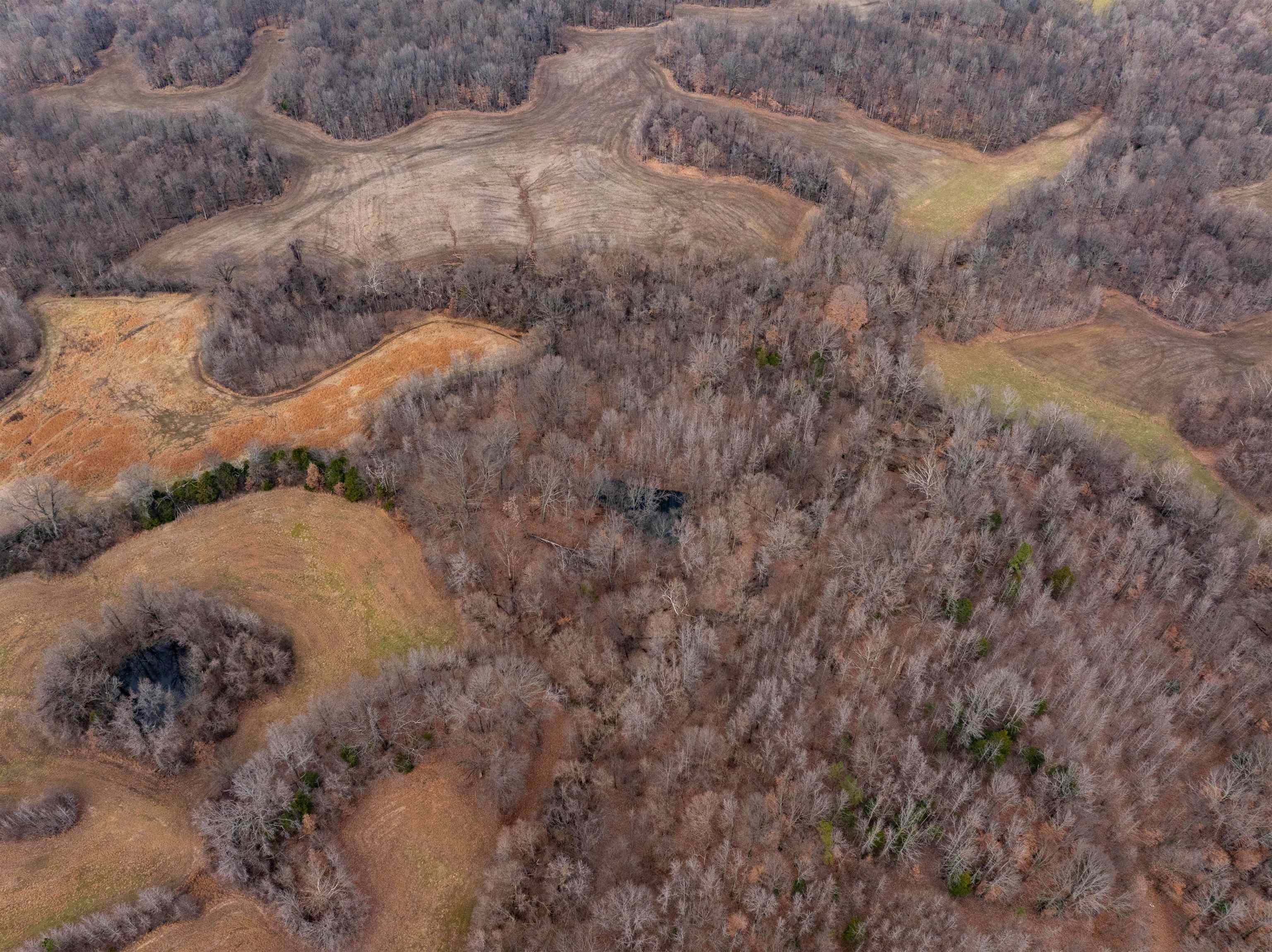 0 Dryhill Road Ripley, TN 38063 - Photo 6 of 14 a view of a dry yard