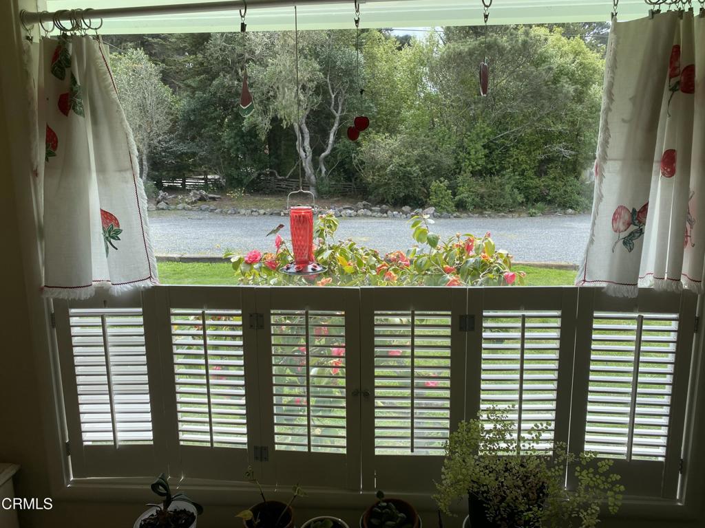 31400 Sherwood Road Fort Bragg, CA 95437 - Photo 20 of 55 a view of a balcony and a potted plant