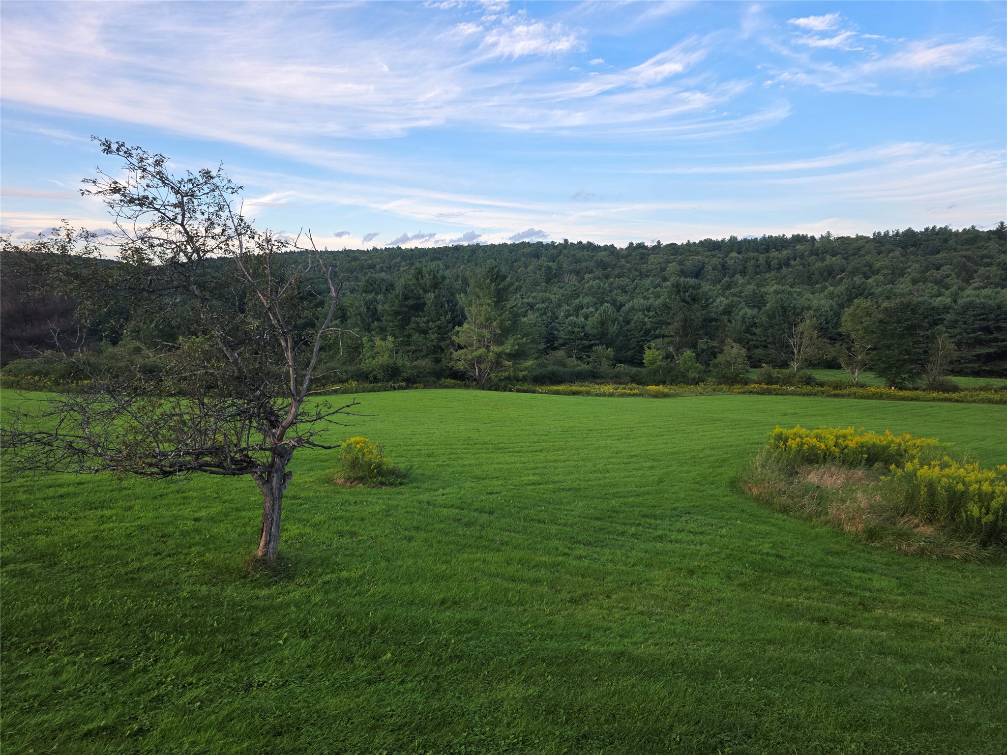 248 County 1 Road Chenango Forks, NY 13746 - Photo 25 of 44 Gallery Image 25