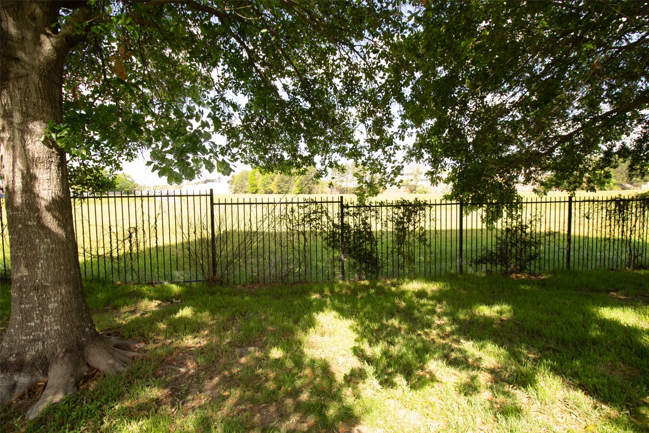 303 Burris Park Drive Spring, TX 77373 - Photo 23 of 45 backyard