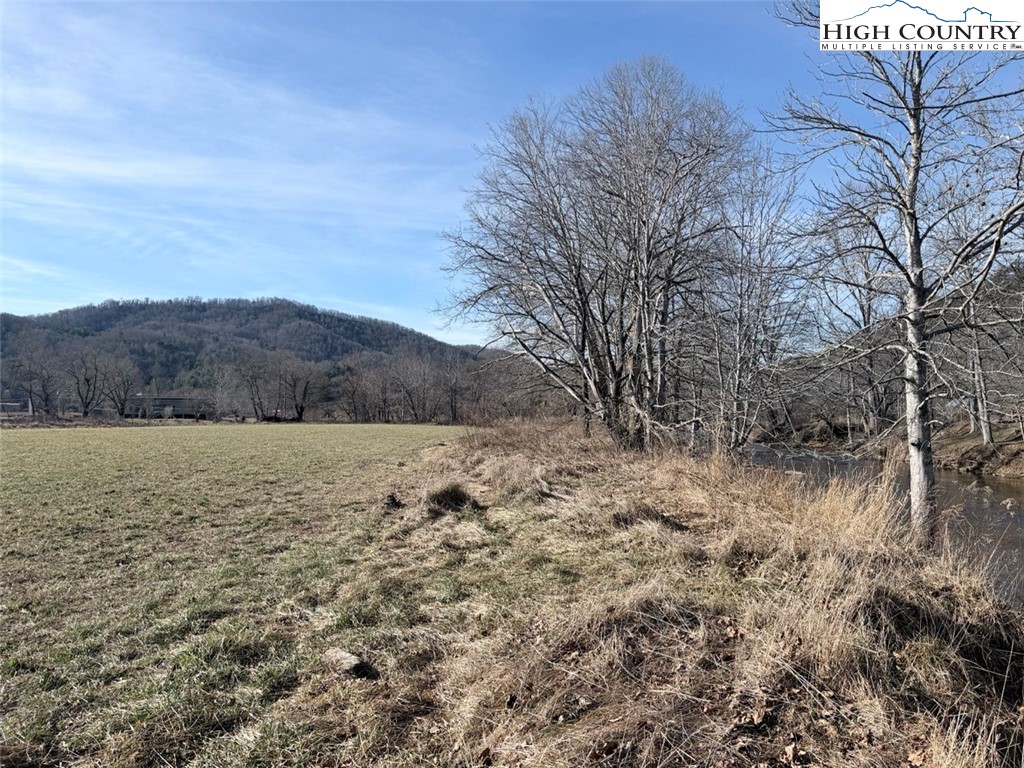 2752 Broadstone Road Banner Elk, NC 28604 - Photo 11 of 24 a view of a dry yard with trees