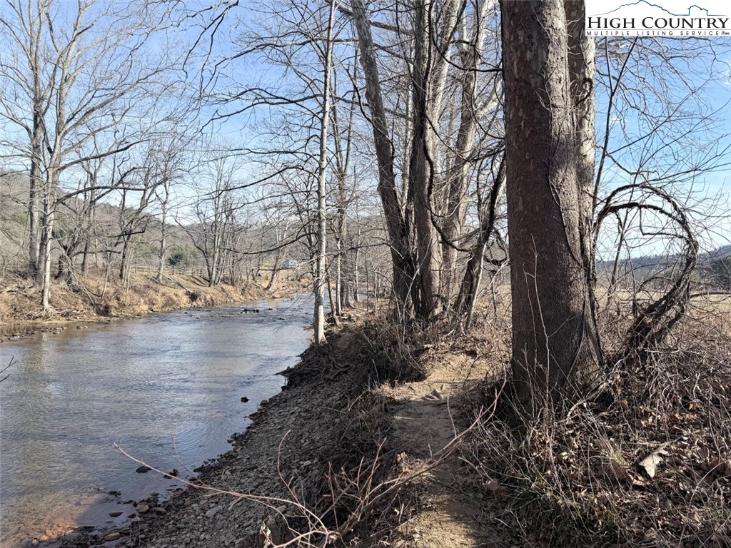 2752 Broadstone Road Banner Elk, NC 28604 - Photo 14 of 24 a view of a yard with plants and trees