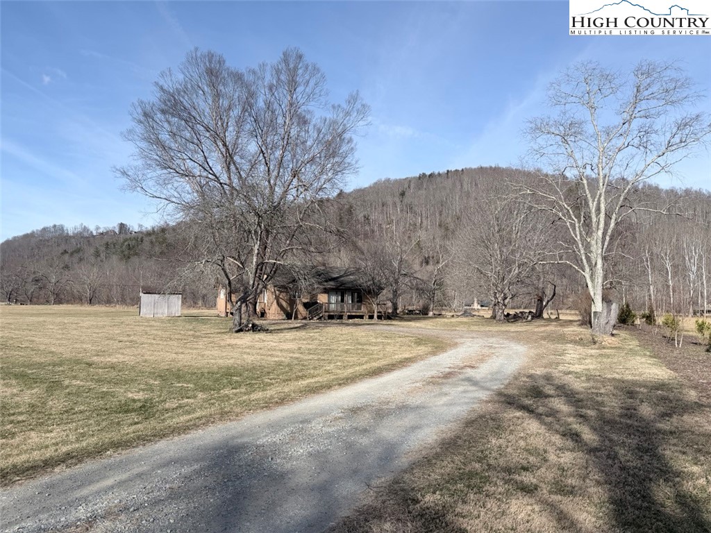 2752 Broadstone Road Banner Elk, NC 28604 - Photo 5 of 24 a view of large trees with a dry yard