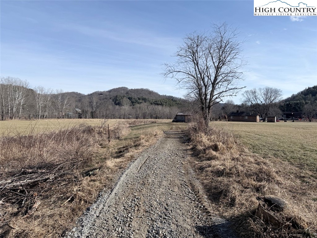 2752 Broadstone Road Banner Elk, NC 28604 - Photo 6 of 24 a view of a yard with a tree