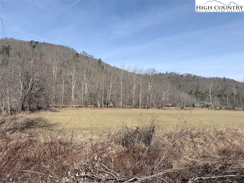 2752 Broadstone Road Banner Elk, NC 28604 - Photo 7 of 24 a view of an open space with mountain view