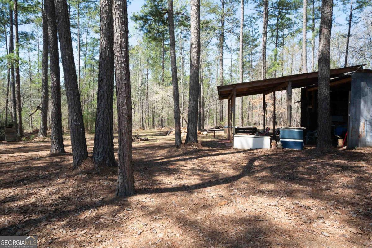 0 Carrs Station Road Sparta, GA 31087 - Photo 13 of 49