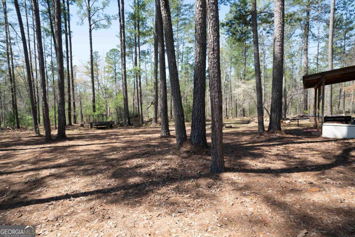 0 Carrs Station Road Sparta, GA 31087 - Photo 14 of 49