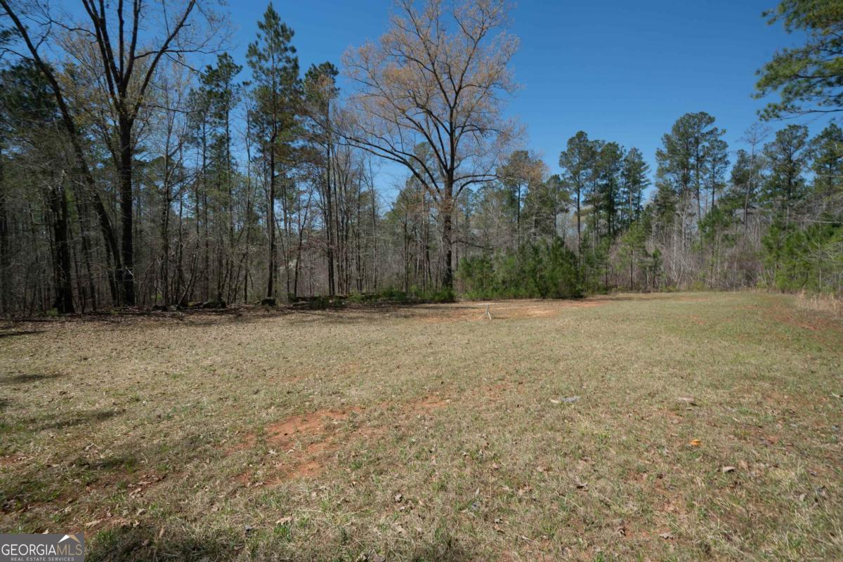 0 Carrs Station Road Sparta, GA 31087 - Photo 15 of 49