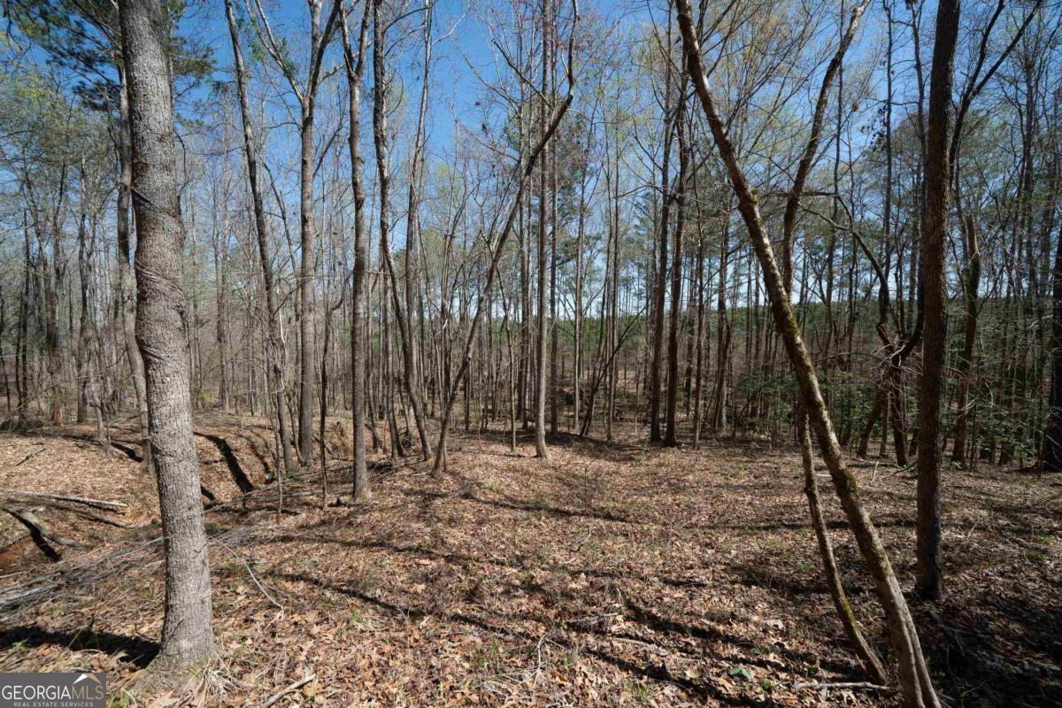 0 Carrs Station Road Sparta, GA 31087 - Photo 17 of 49