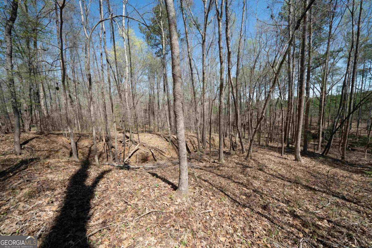 0 Carrs Station Road Sparta, GA 31087 - Photo 18 of 49