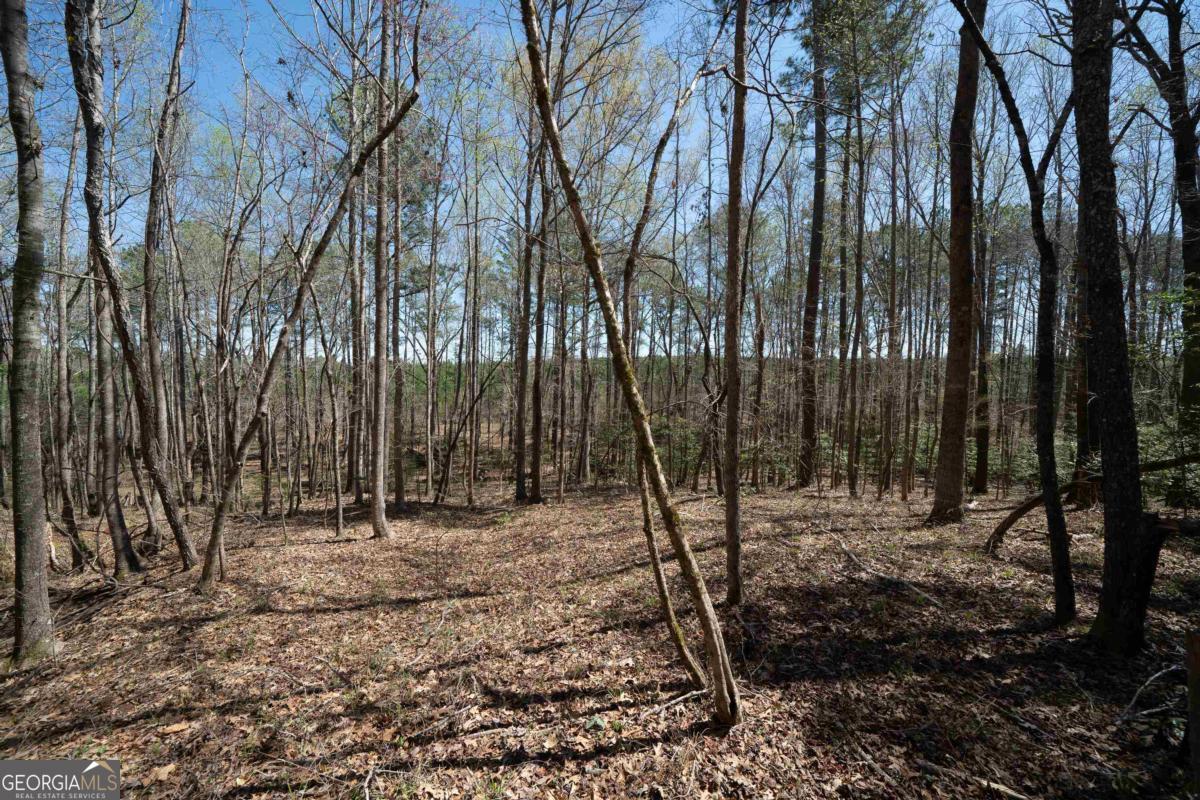 0 Carrs Station Road Sparta, GA 31087 - Photo 19 of 49