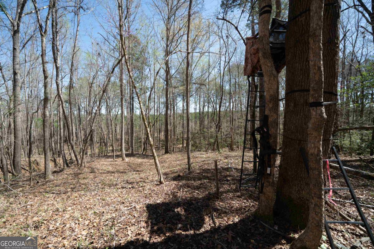 0 Carrs Station Road Sparta, GA 31087 - Photo 20 of 49