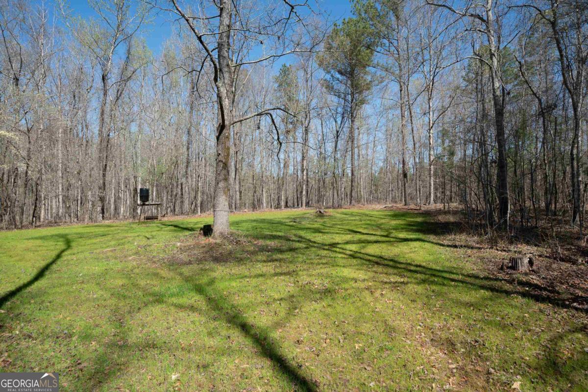 0 Carrs Station Road Sparta, GA 31087 - Photo 2 of 49