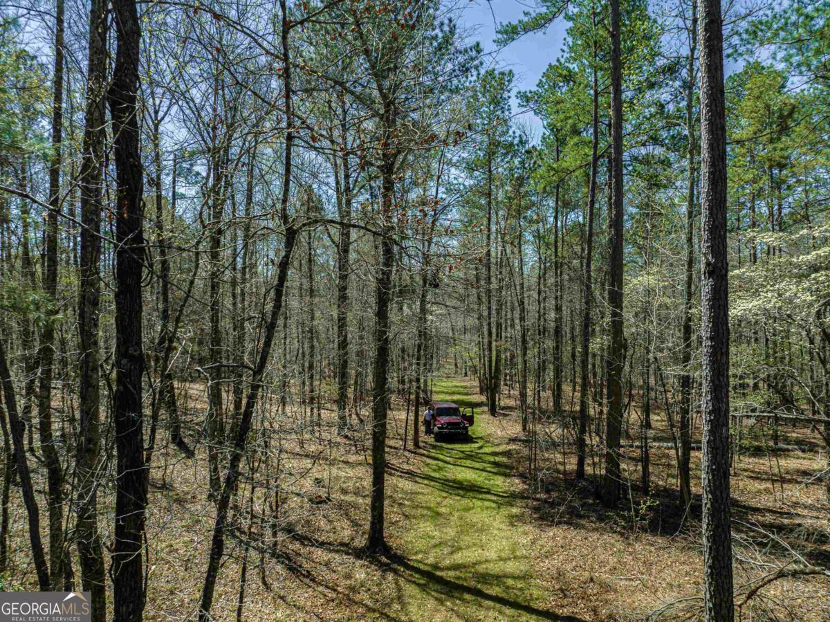 0 Carrs Station Road Sparta, GA 31087 - Photo 21 of 49