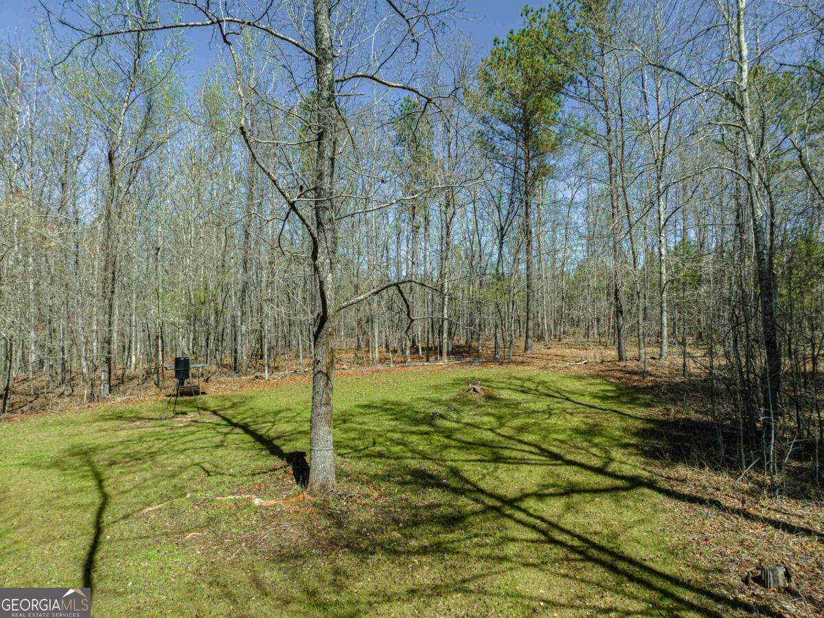 0 Carrs Station Road Sparta, GA 31087 - Photo 22 of 49