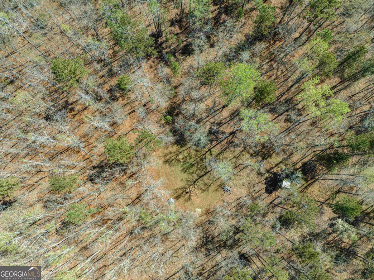 0 Carrs Station Road Sparta, GA 31087 - Photo 23 of 49