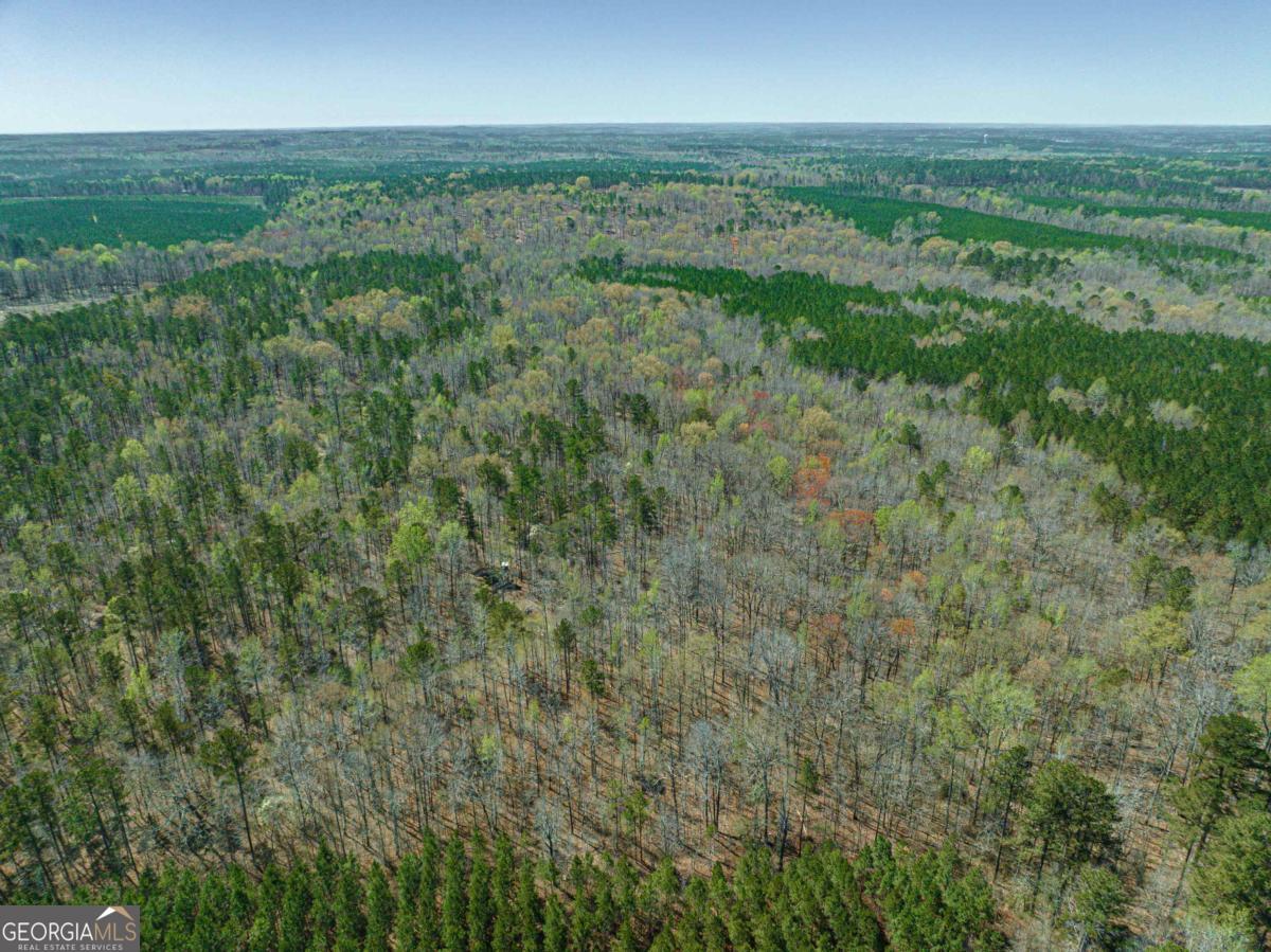 0 Carrs Station Road Sparta, GA 31087 - Photo 24 of 49