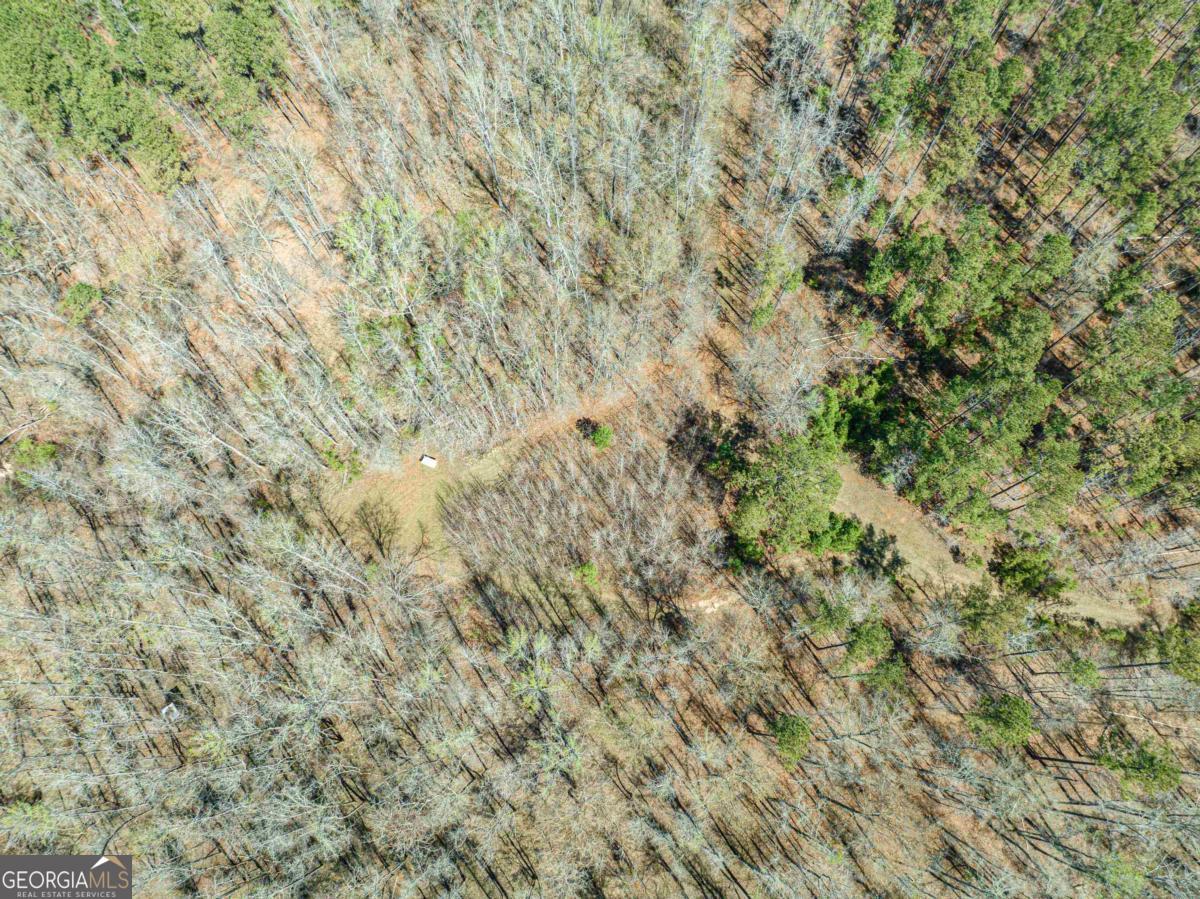 0 Carrs Station Road Sparta, GA 31087 - Photo 26 of 49