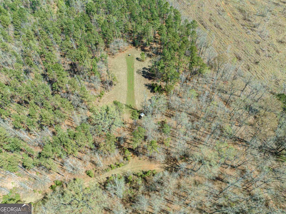 0 Carrs Station Road Sparta, GA 31087 - Photo 27 of 49