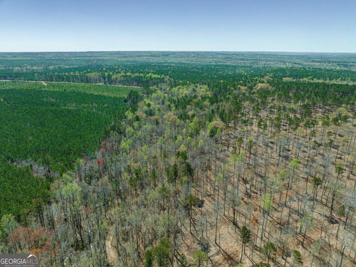 0 Carrs Station Road Sparta, GA 31087 - Photo 28 of 49