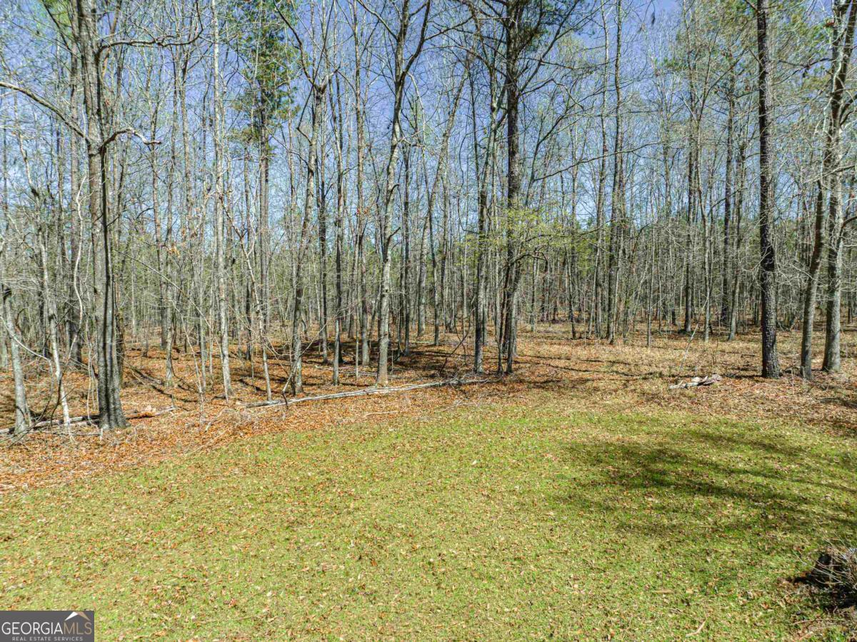 0 Carrs Station Road Sparta, GA 31087 - Photo 29 of 49