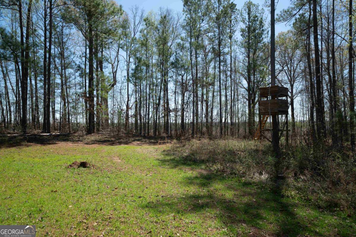 0 Carrs Station Road Sparta, GA 31087 - Photo 3 of 49