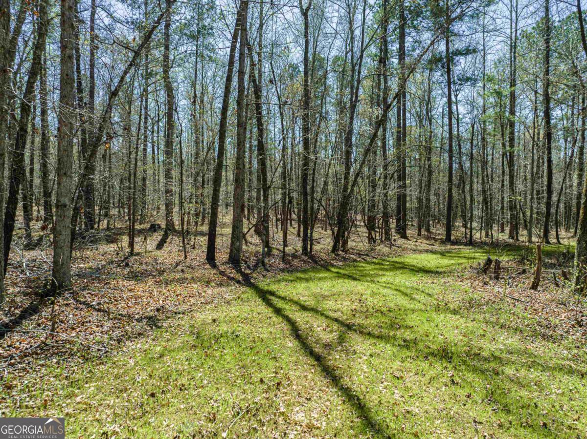 0 Carrs Station Road Sparta, GA 31087 - Photo 31 of 49