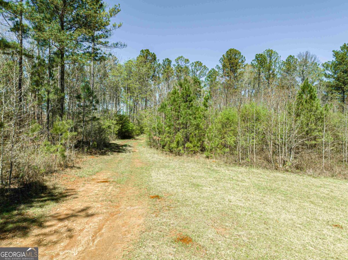 0 Carrs Station Road Sparta, GA 31087 - Photo 32 of 49