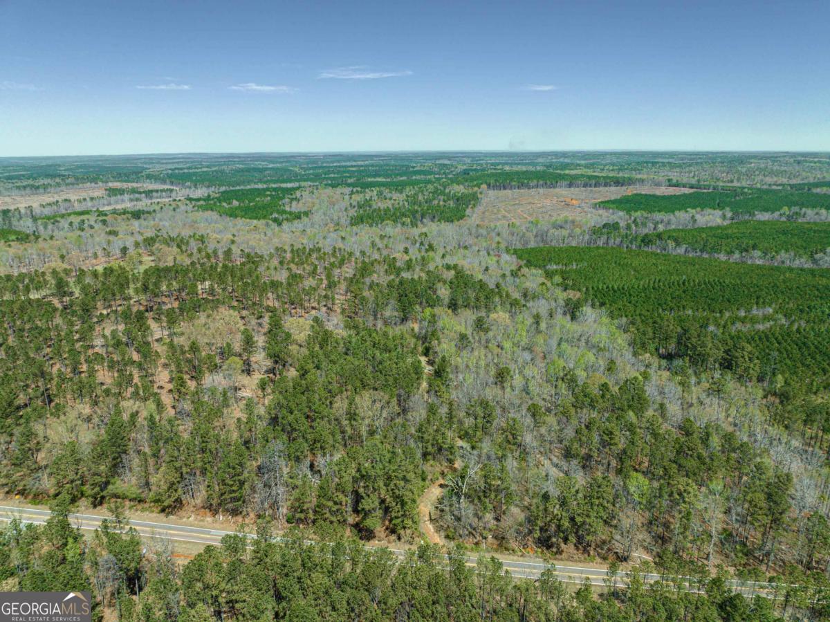 0 Carrs Station Road Sparta, GA 31087 - Photo 34 of 49