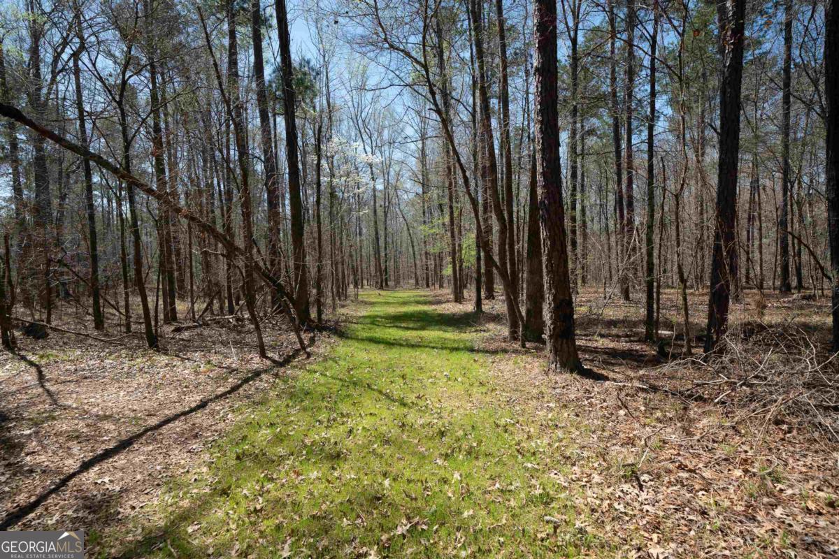 0 Carrs Station Road Sparta, GA 31087 - Photo 35 of 49